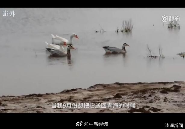 特胖人操逼