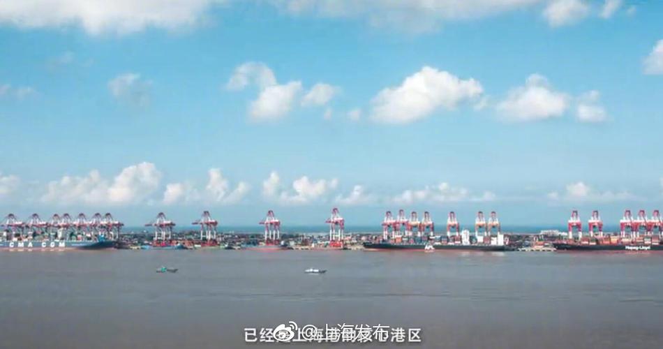 国内乱×X视频60