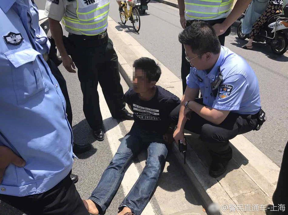 男插女动态图