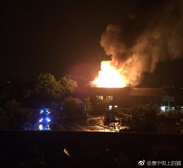 性欧美肥妇多毛多水