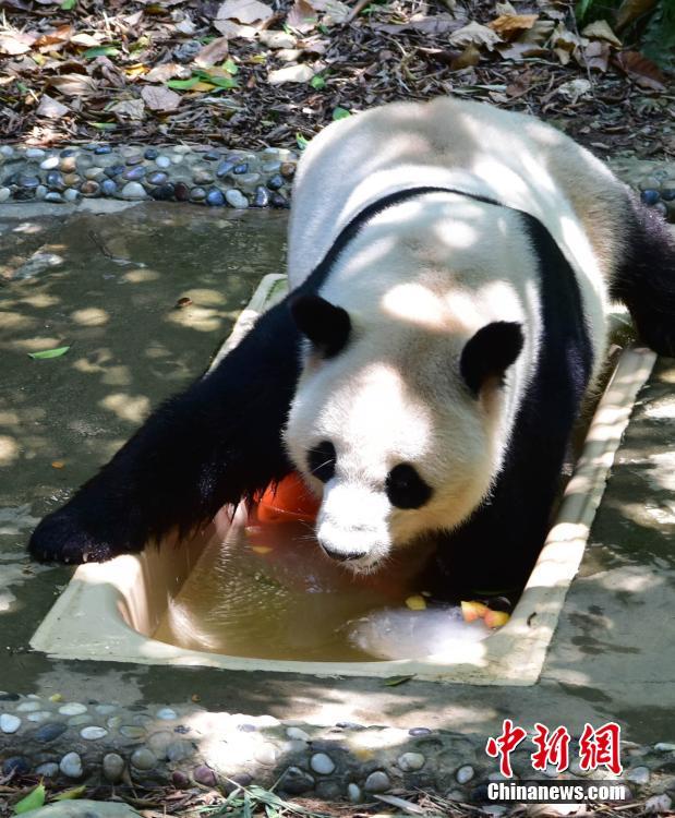 精品视频一区二区