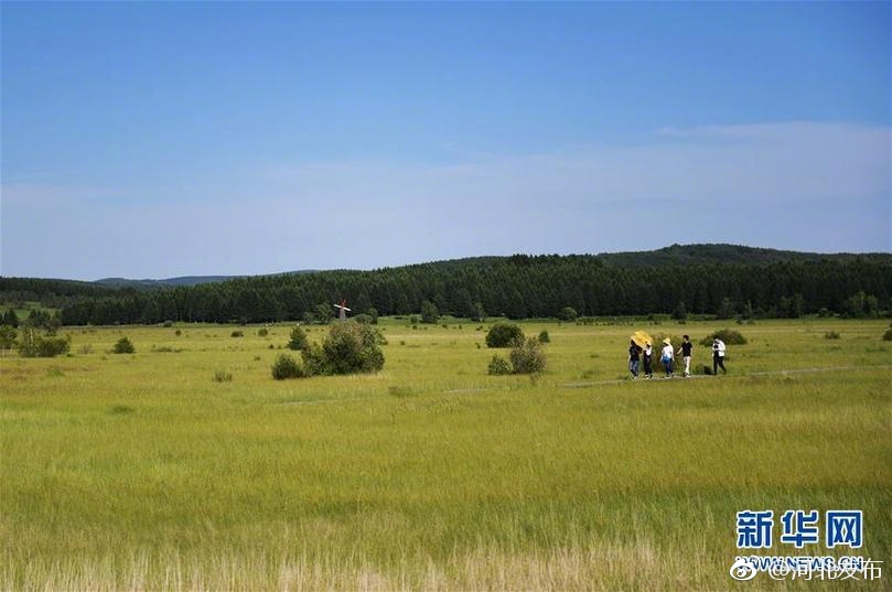 苍井空办公室福利