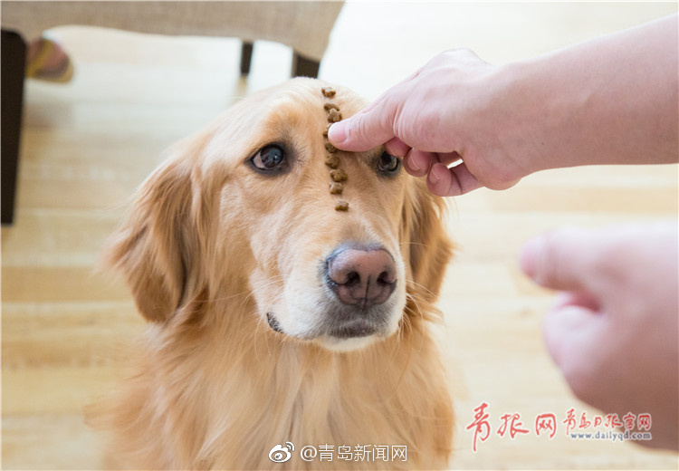 蔡依林拍黄色片三级片