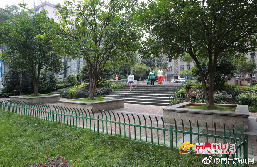 亚洲综合在线视频