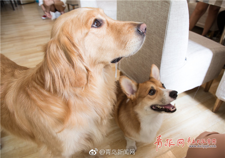 下载三级黄色性生活视频