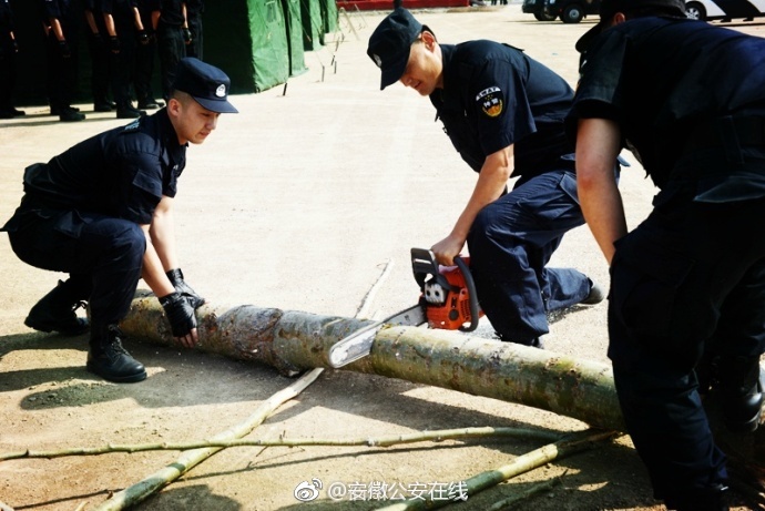 fiee性zozo交体内谢