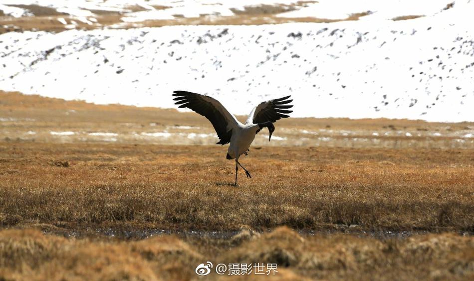 和老师伦理片