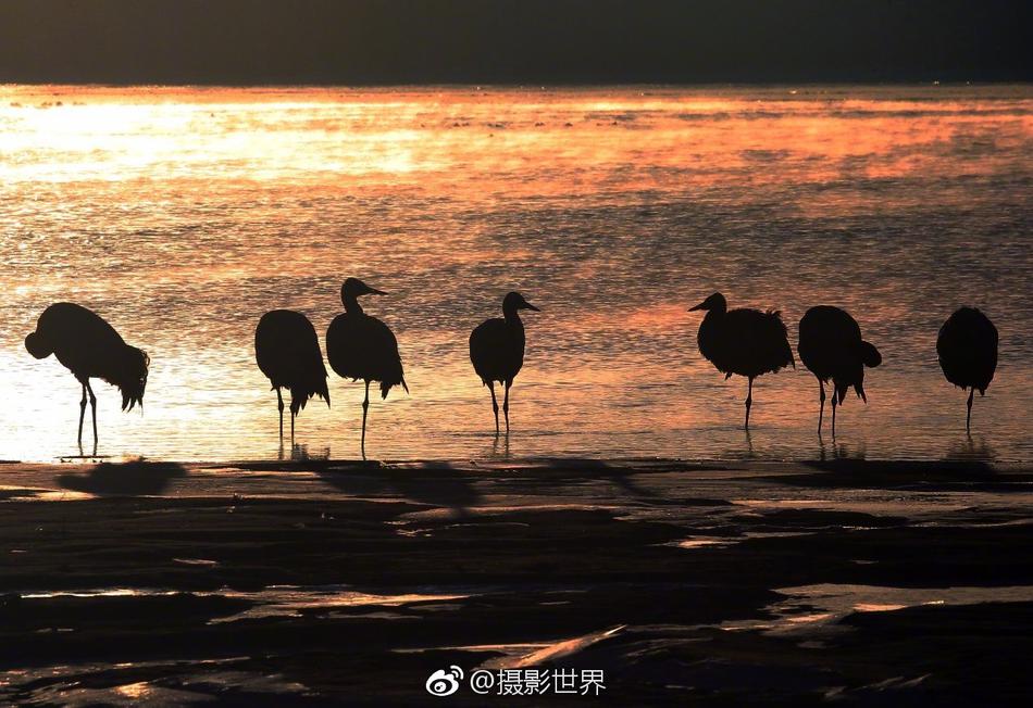 成人 电影 大陆