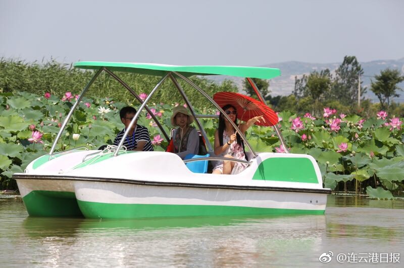 欧美人兽另类精品
