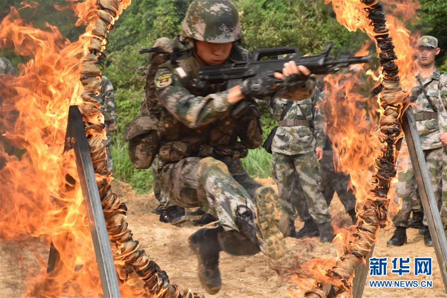 射精网站