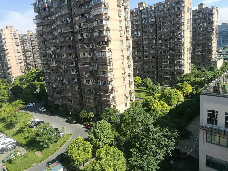 校花主动脱 让我