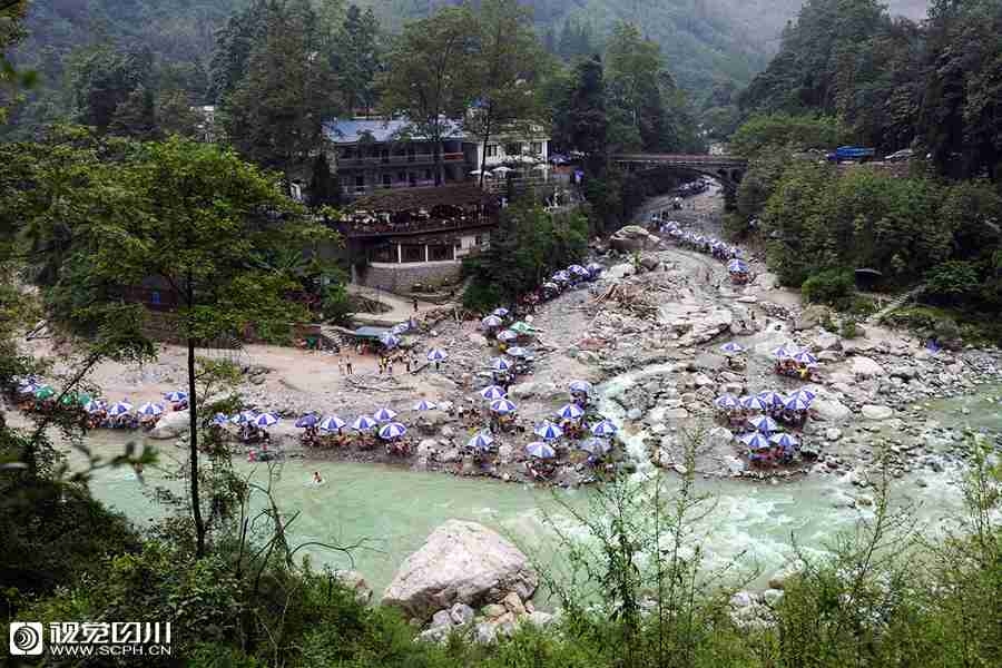 六十路无码视频
