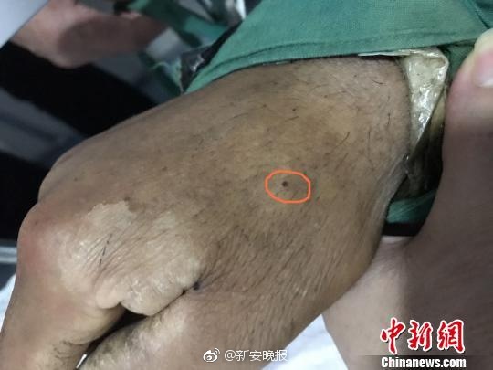 孕妇 做爱 视频