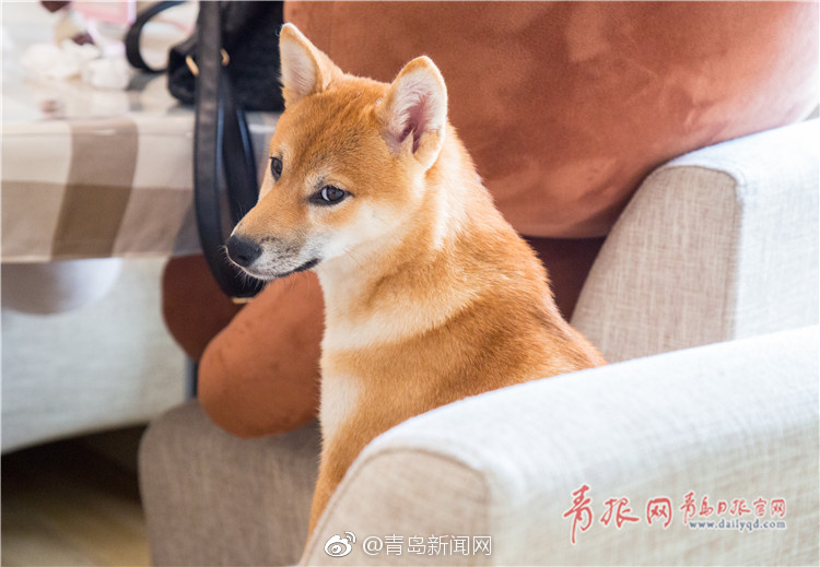 盗摄韩国浴室洗澡Xxxx