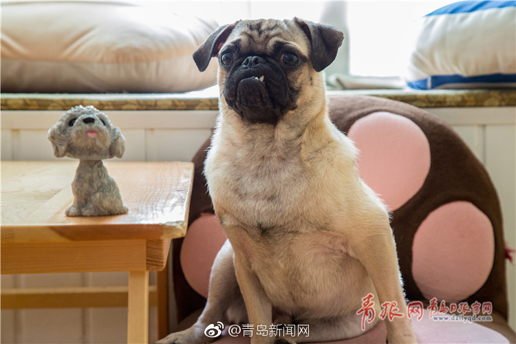 原神角色脱 给我揉