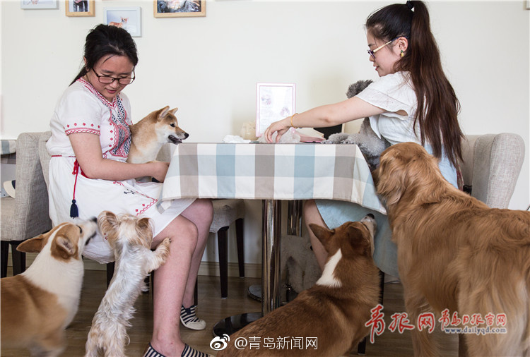 免费观看巩莉的三级片
