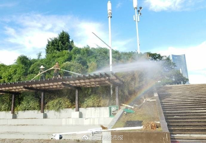 免费黄网站