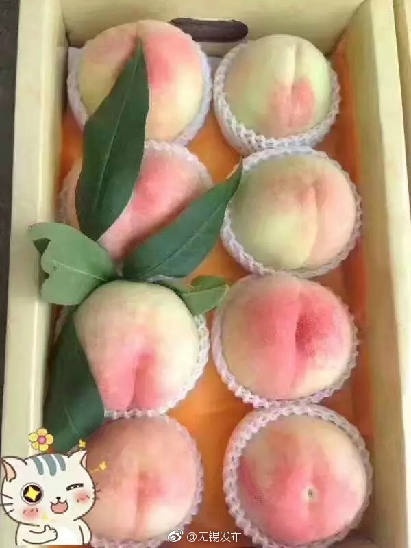 国产做受91   高潮