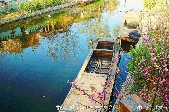 日本黄色小说