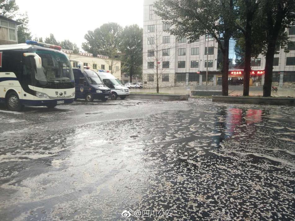 成人黄色免费网站