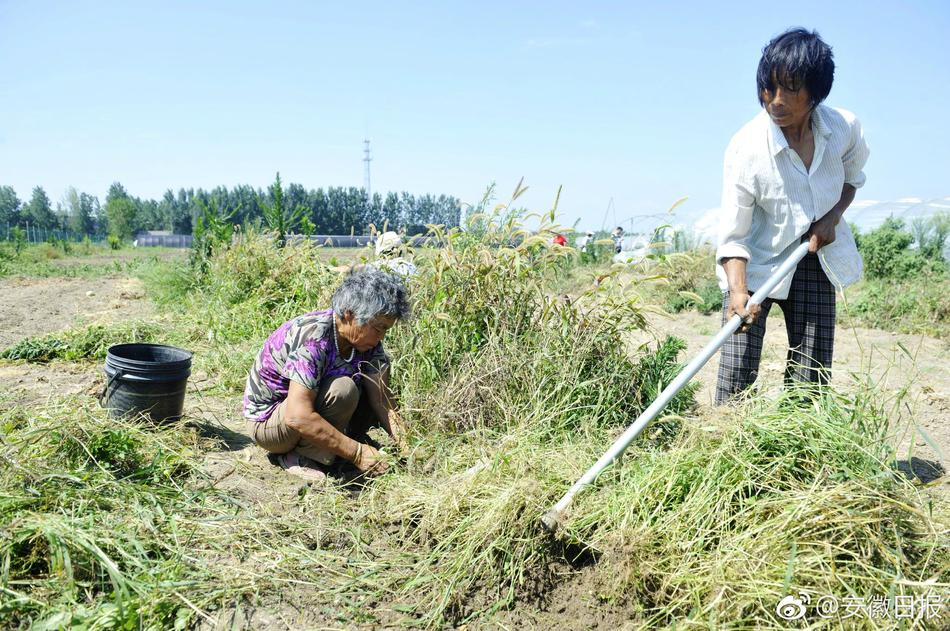 抖音风反差婊弹力摇 混剪