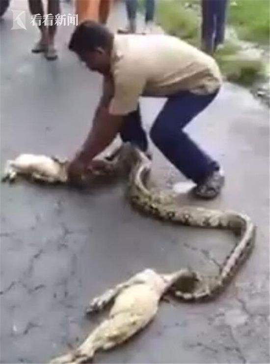 ▓成人榴莲视频▓无码免费