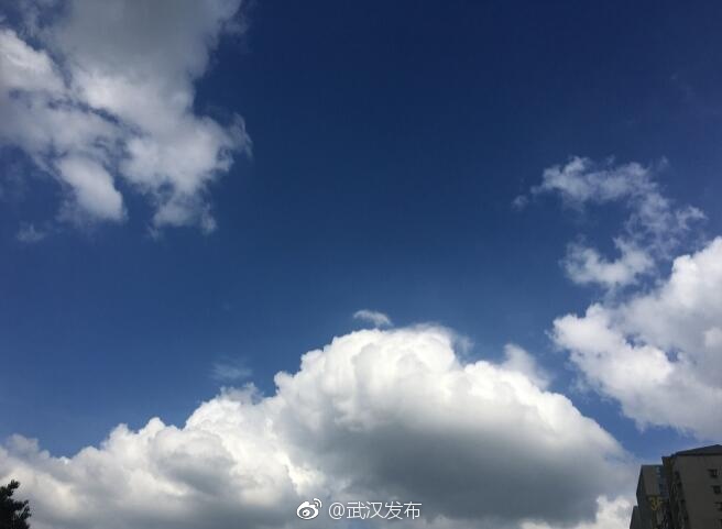 苍井空中出无码视频