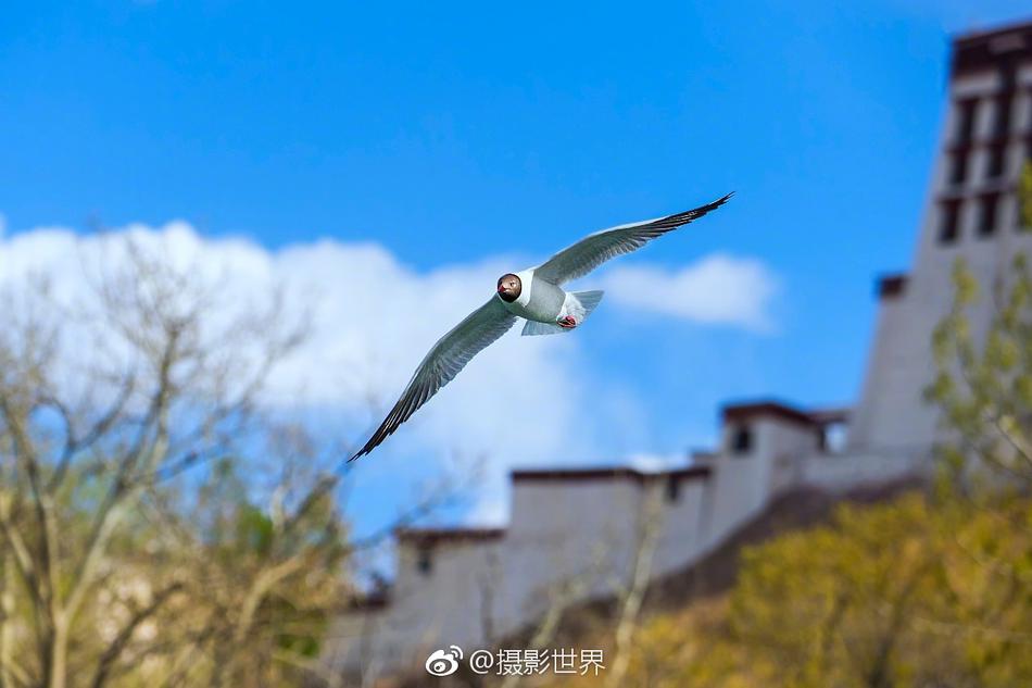 www.久
