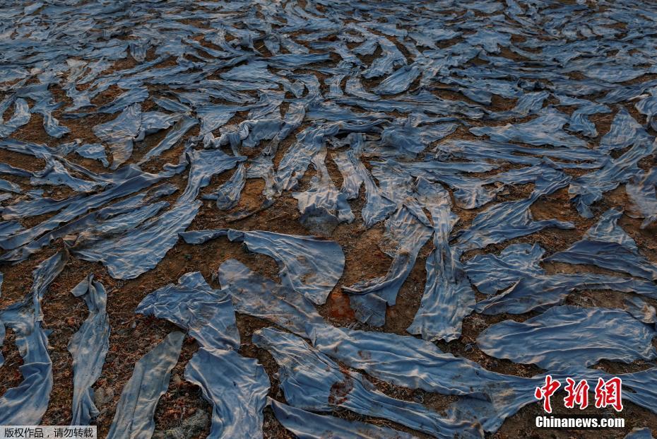 两个老头把我添高潮了