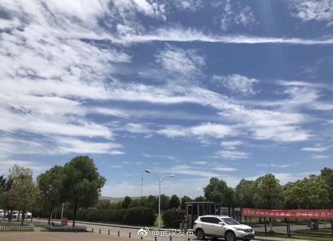 黄色天堂