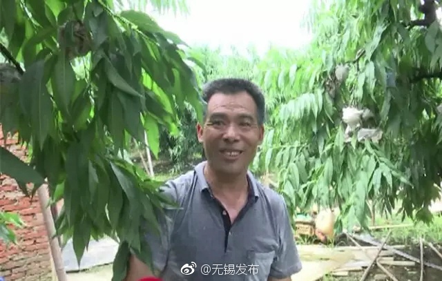 有栖