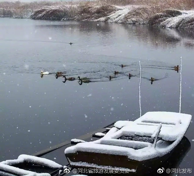 黑人操白人