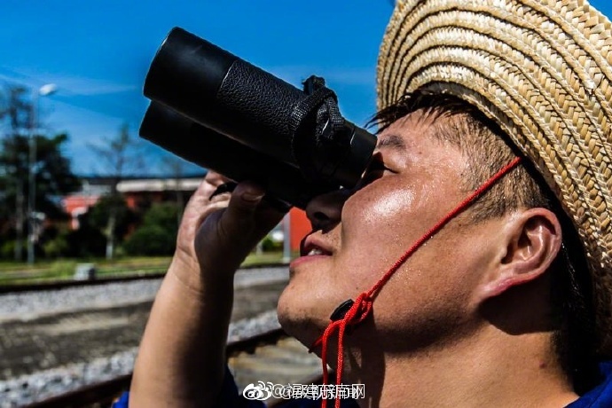 霍思燕三级片网站