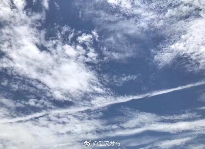 欧美性猛交Xxxx乱大交
