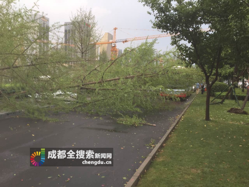 古装复古黑丝玉足经典Xxxxhd