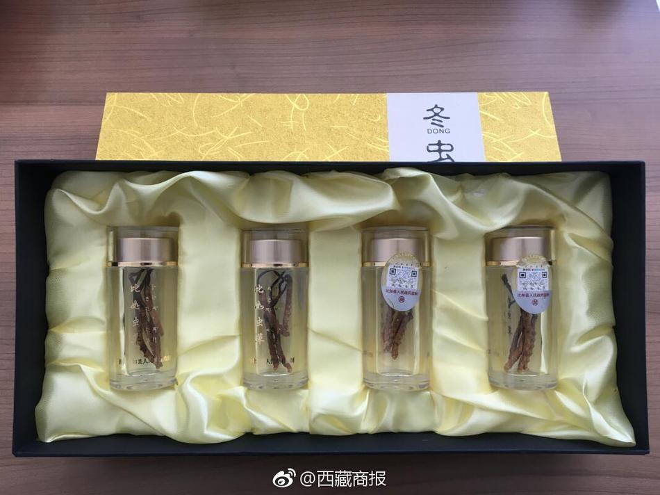 真人直播视频免费观看