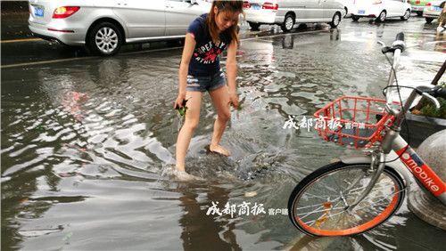 荷兰大白肥屁股BBBBBB