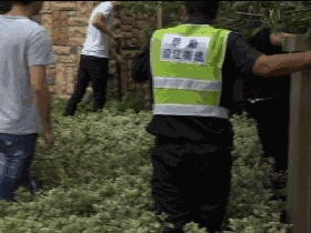 黄色网站综合电影网