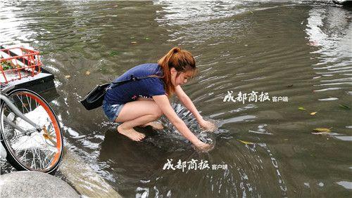 红楼直播