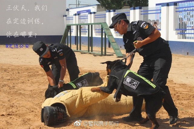 色情 电影 大全