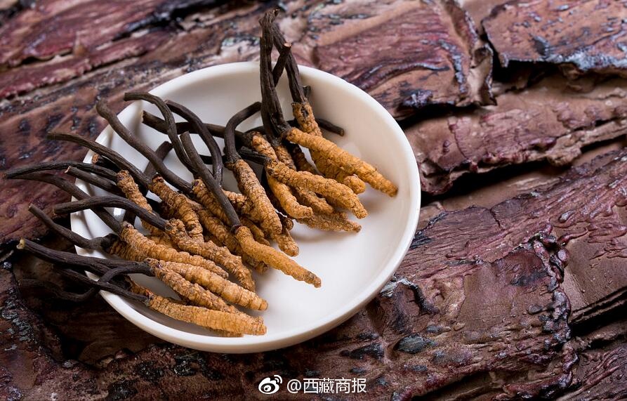 欧美性    狂欢