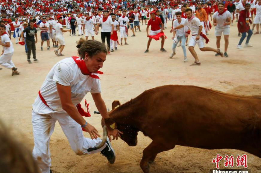 西班牙民众欢度奔牛节 为公牛充当“脚垫”