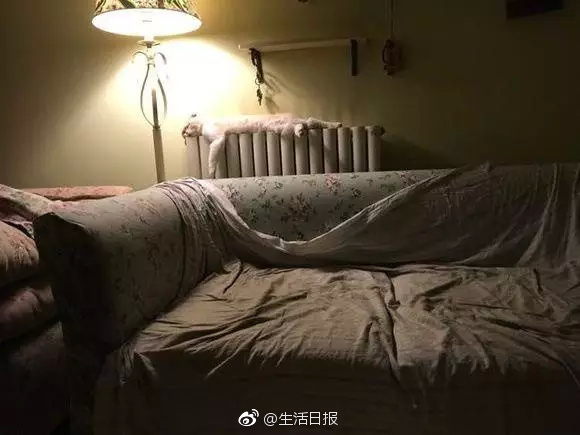 一区视频