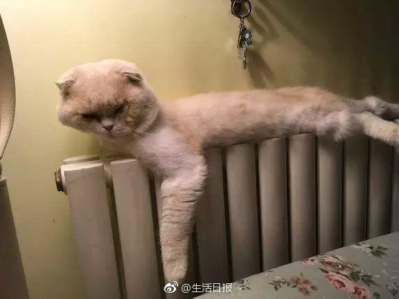 chinese麻豆Ga勾外卖
