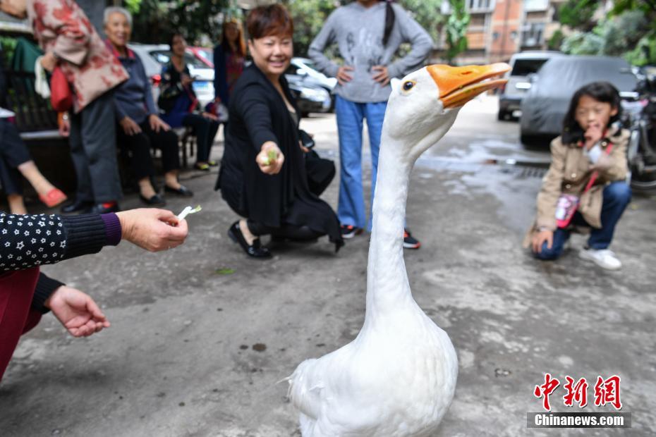 他趴在我两腿中间吸我