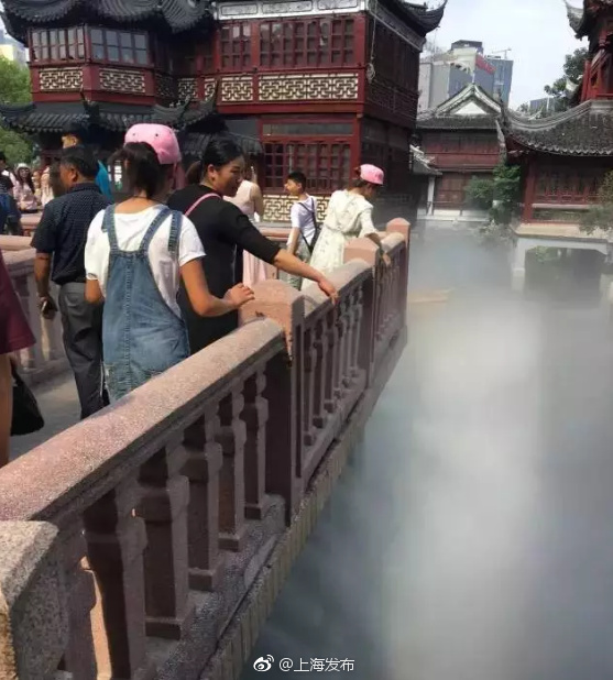 少妇富婆野战Hd