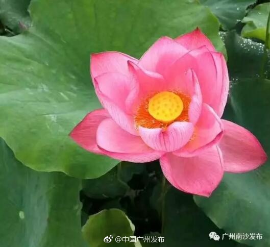 大尺度做爰床戏呻吟细致长小说