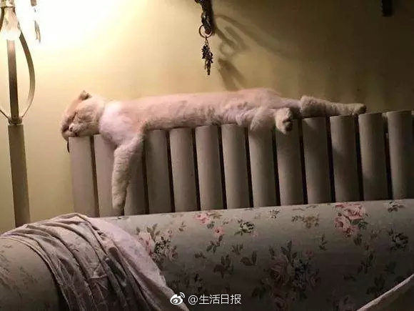校花被 娇喘出奶视频