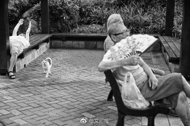 仙踪林小小拗女性BBWWWW国产
