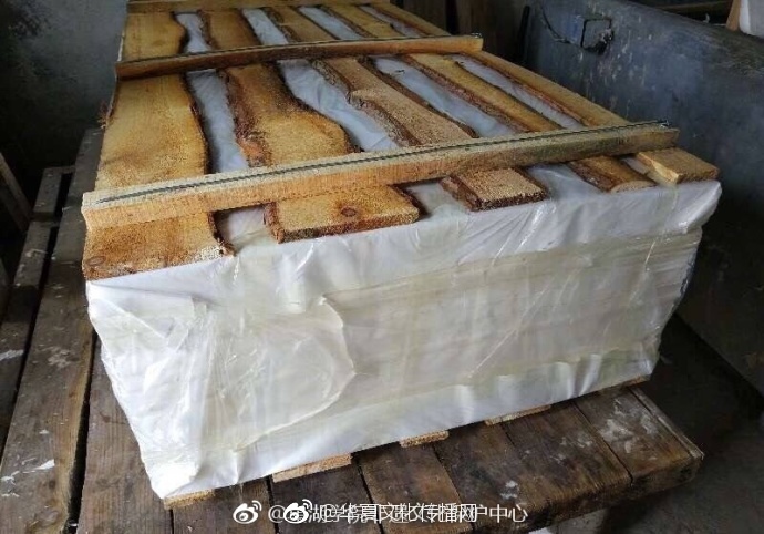 亚州人成在我直播